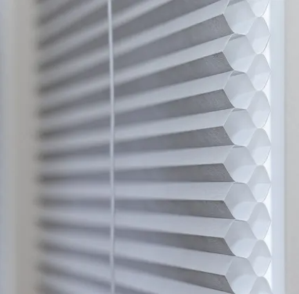 ظلال خلوية خلوية مزدوجة