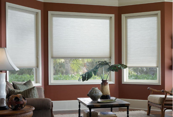 الظلال الخلوية العمودية