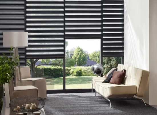 70 × 34 مخصصة صنعت ليلا ونهارا الستائر الحمار الوحشي